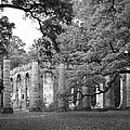 Old Sheldon Church - Black and White