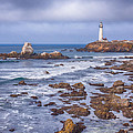 Pigeon Point 